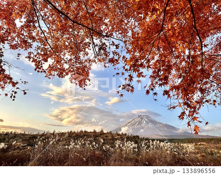 夕陽を浴びる紅葉と富士山 133896556