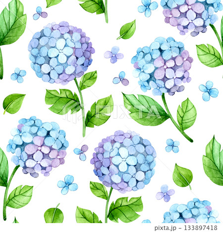 Seamless watercolor pattern. Illustration with blue hydrangeas 133897418