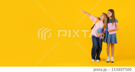 Two preteen girls holding notebooks and looking aside in bright studio background 133897500