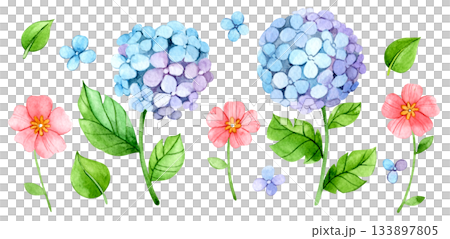 A set of watercolor illustrations with blue hydrangea flowers and leaves A set of watercolor illustrations with blue hydrangea flowers and leaves 133897805