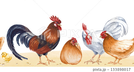 Horizontal seamless border depicting sitting and standing farm birds on the sand. Rectangular watercolor illustration of a poultry yard on an isolated background. Brown hens, white and dark roosters Horizontal seamless border depicting sitting and standing farm birds on the sand. Rectangular watercolor illustration of a poultry yard on an isolated background. Brown hens, white and dark roosters 133898017