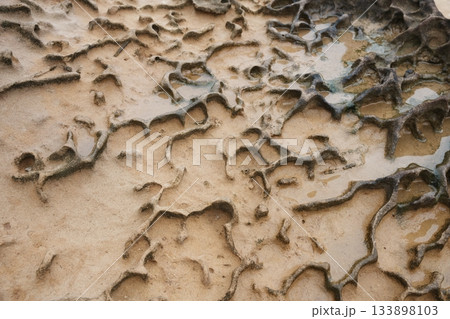 大自然のアート！台湾を代表する奇岩景観「野柳地質公園」 133898103