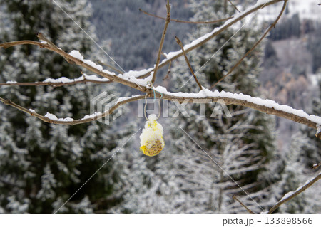 Providing the birds with food Providing the birds with food 133898566