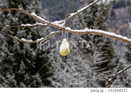 Providing the birds with food 133898571