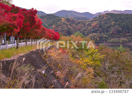 丹沢湖の紅葉 丹沢湖の紅葉 133898787