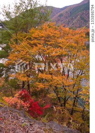 丹沢湖の紅葉 丹沢湖の紅葉 133898794