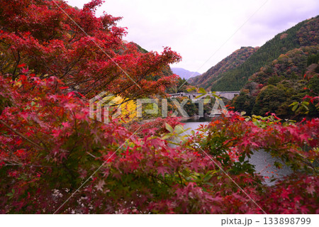 丹沢湖の紅葉 丹沢湖の紅葉 133898799
