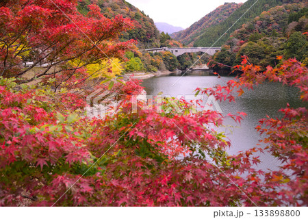 丹沢湖の紅葉 丹沢湖の紅葉 133898800