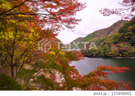 丹沢湖の紅葉 133898801