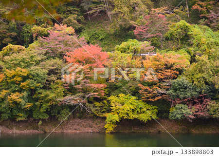 丹沢湖の紅葉 133898803