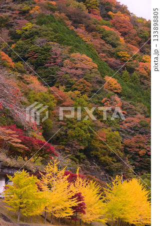 丹沢湖の紅葉 丹沢湖の紅葉 133898805