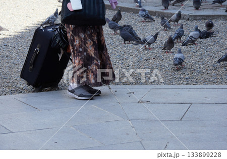 夏の公園の鳩の群れと女性観光客の姿 夏の公園の鳩の群れと女性観光客の姿 133899228