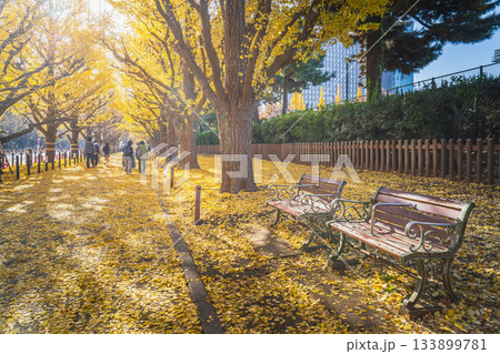 秋の東京・明治神宮外苑のイチョウ並木の風景【東京都・港区】 秋の東京・明治神宮外苑のイチョウ並木の風景【東京都・港区】 133899781