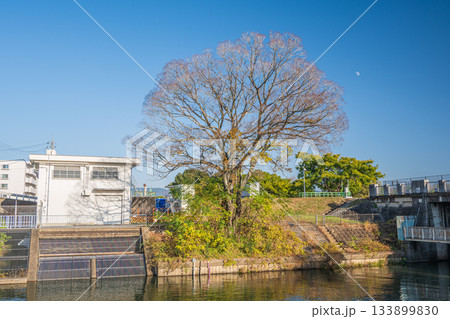 三栖洗堰　京都市伏見区 133899830