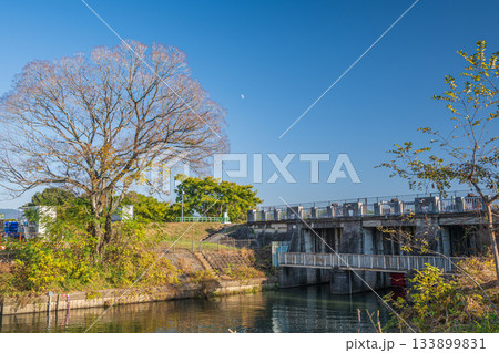三栖洗堰　京都市伏見区 133899831