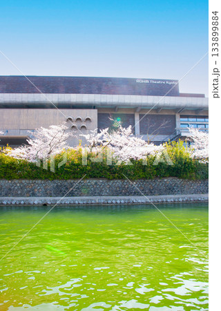 京都 岡崎疏水の桜 京都 岡崎疏水の桜 133899884