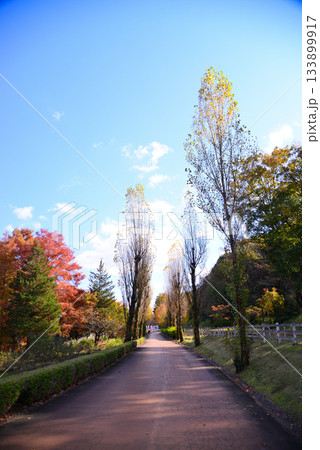紅葉の修善寺虹の郷 紅葉の修善寺虹の郷 133899917