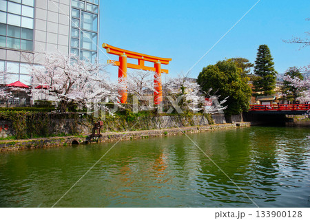 京都　岡崎疏水の桜 133900128