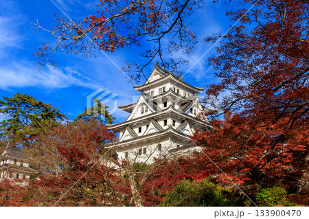 郡上八幡城を彩る秋の紅葉と青空が広がる絶景風景 郡上八幡城を彩る秋の紅葉と青空が広がる絶景風景 133900470