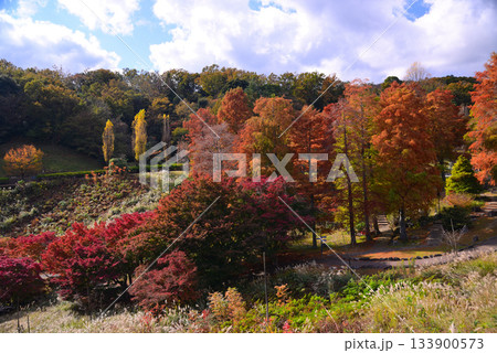 紅葉の修善寺虹の郷 133900573