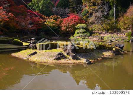 紅葉の修善寺虹の郷 133900578