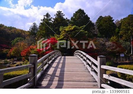 紅葉の修善寺虹の郷 133900581