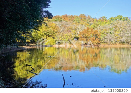 ようやく秋の一碧湖の色 ようやく秋の一碧湖の色 133900899