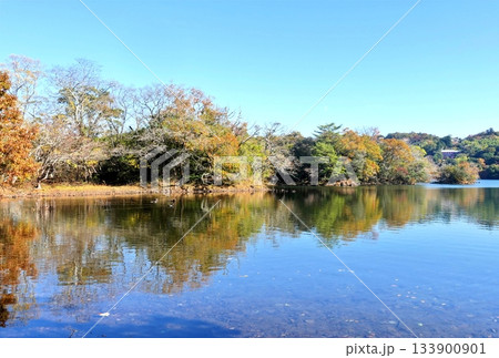 ようやく秋の一碧湖の色 ようやく秋の一碧湖の色 133900901