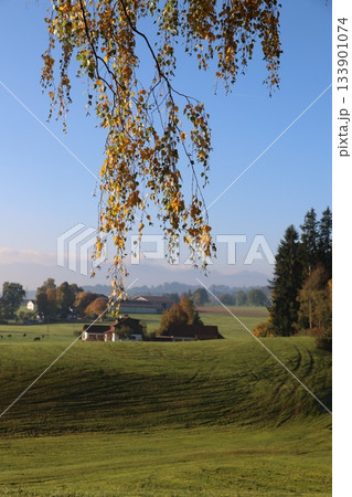 The sky is clear and blue, and the grass is green The sky is clear and blue, and the grass is green 133901074