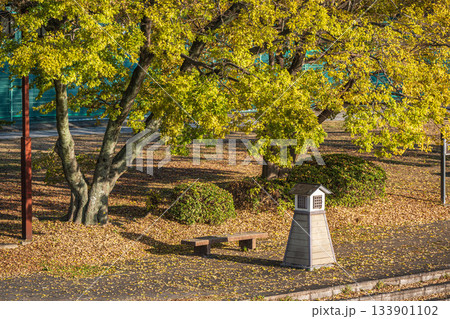 晩秋の伏見港公園　京都市伏見区 133901102