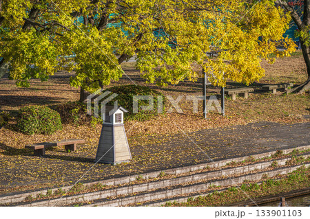 晩秋の伏見港公園　京都市伏見区 133901103