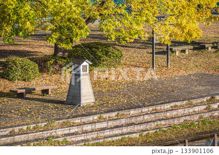 晩秋の伏見港公園 京都市伏見区 晩秋の伏見港公園 京都市伏見区 133901106