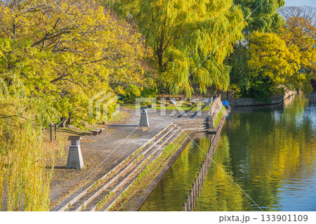 晩秋の伏見港公園　京都市伏見区 133901109