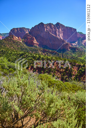 Kolob Canyon Red Rock Cliffs and Green Shrub Landscape Under Blue Sky 133901212