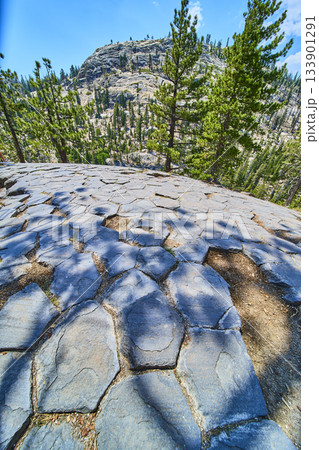 Basalt Rock Formations Pine Forest and Mountain Landscape at Devils Postpile California 133901291