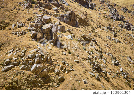 Rugged Rocky Hillside with Dry Grass and Boulders in Mountainous Wilderness 133901304