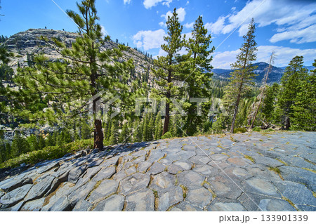 Basalt Rock Formations and Pine Trees at Devils Postpile California Sierra Mountains 133901339