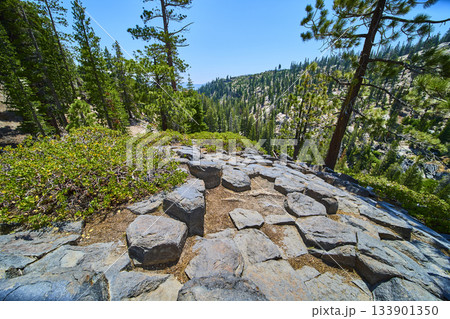 Basalt Rock Formation Pine Forest and Mountain Valley at Devils Postpile California 133901350
