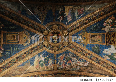 Vatican Museums ornate Renaissance ceiling frescoes with gold stucco and painted medallions Rome Italy. High quality photo 133901437