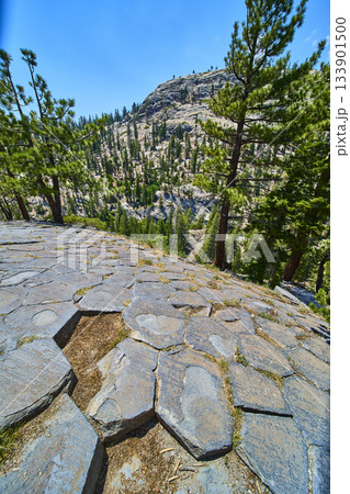 Basalt Columns Pine Trees and Mountain Landscape at Devils Postpile California Basalt Columns Pine Trees and Mountain Landscape at Devils Postpile California 133901500