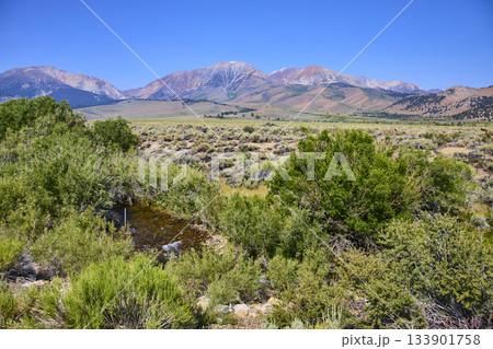 Williams Butte Mountain Range Summer Landscape with Creek and Sagebrush California Williams Butte Mountain Range Summer Landscape with Creek and Sagebrush California 133901758