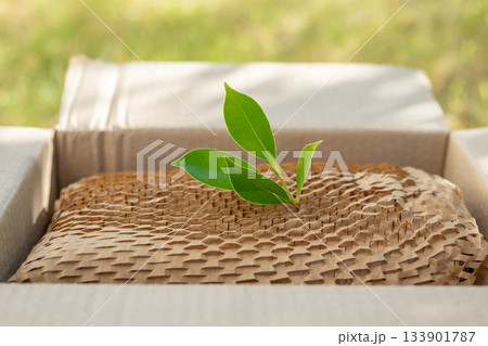 Green leaf on eco friendly brown paper honeycomb wrap for product packaging parcel carton box 133901787