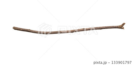 Dry tree branches isolated on white background Dry tree branches isolated on white background 133901797