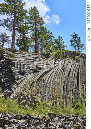 Basalt Rock Columns and Pine Trees at Devils Postpile in Bright California Sunlight Basalt Rock Columns and Pine Trees at Devils Postpile in Bright California Sunlight 133901918