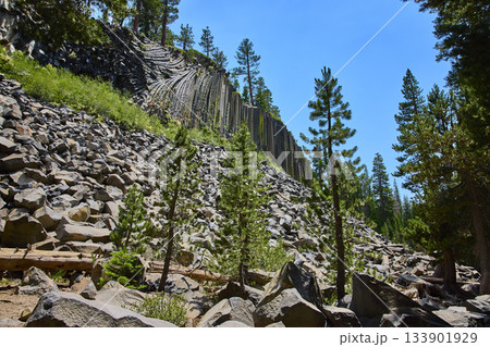 Basalt Columns and Pine Trees at Devils Postpile National Monument California 133901929
