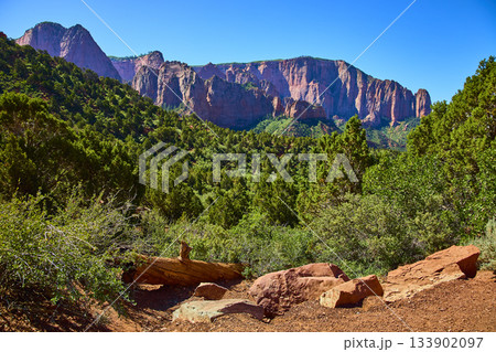 Kolob Canyon Red Rock Cliffs Lush Pine Forest and Rocky Desert Terrain Utah 133902097