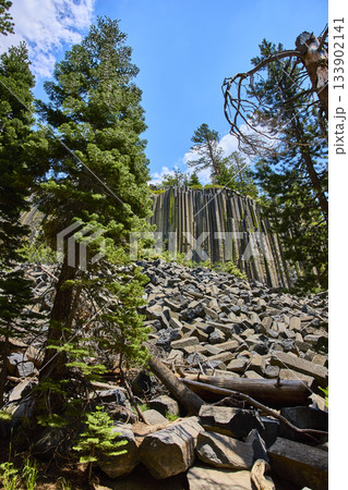 Devils Postpile Basalt Rock Columns and Pine Trees Under Bright Blue Sky Devils Postpile Basalt Rock Columns and Pine Trees Under Bright Blue Sky 133902141