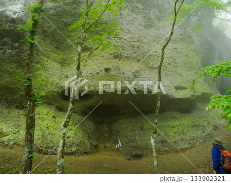 荒船山の巨石 荒船山の巨石 133902321