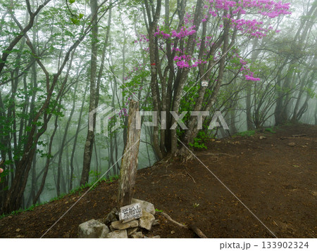 荒船山山頂 133902324