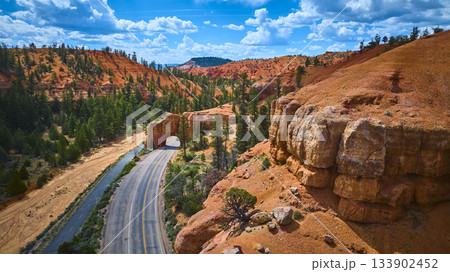 Aerial Red Canyon Tunnels Winding Road and Sandstone Cliffs with Pine Forest Utah Aerial Red Canyon Tunnels Winding Road and Sandstone Cliffs with Pine Forest Utah 133902452